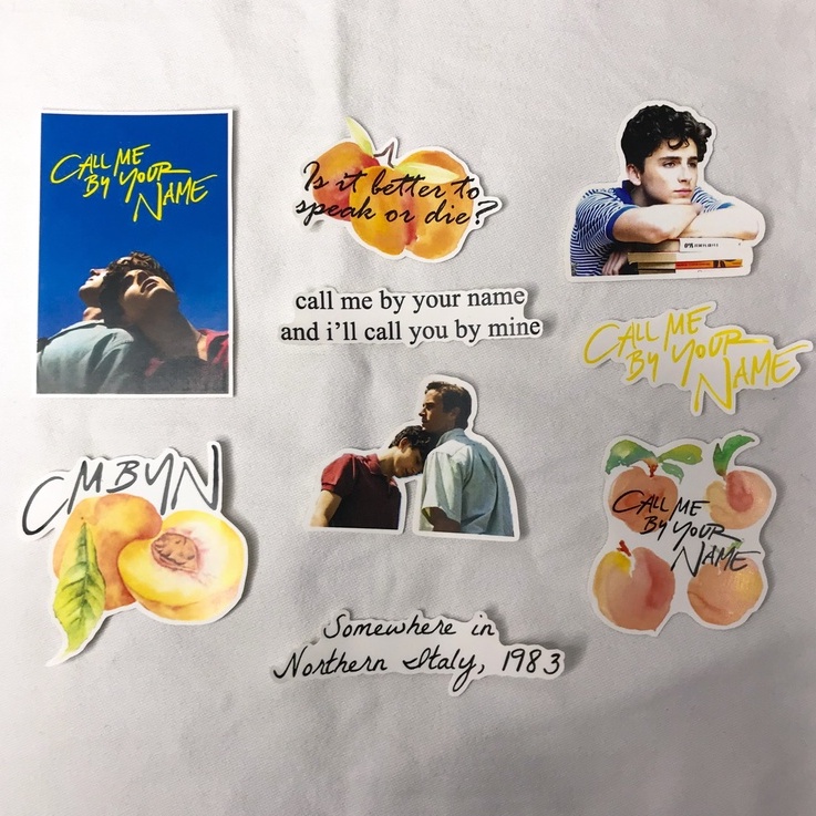 Call Me By Your Name Aesthetic Sticker Pack - CMBYN Timothee Chalamet ...