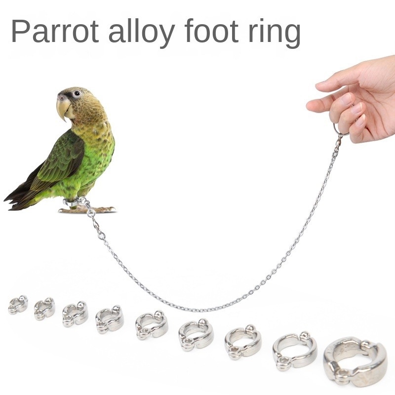 Stainless Steel Parrot Leash Chain Threaded Bracelet Alloy Foot Ring ...