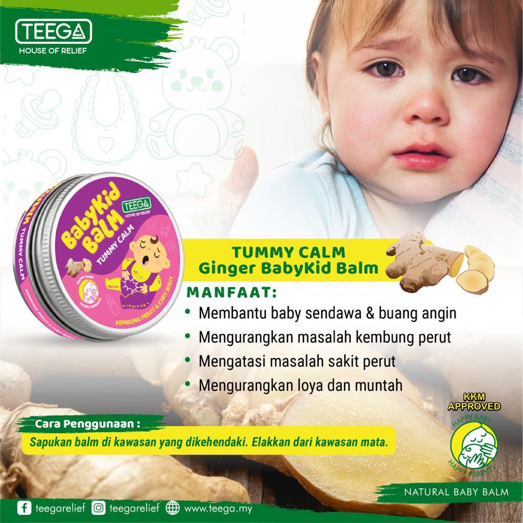 BabyKid Balm Garlic Balm Ginger Balm Alovera Balm Baby Shopee Malaysia