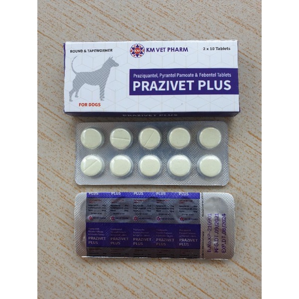 Exp2027 Jan / (5 Tab Per Order) 1 Tablet Harga Prazivet Plus Dog