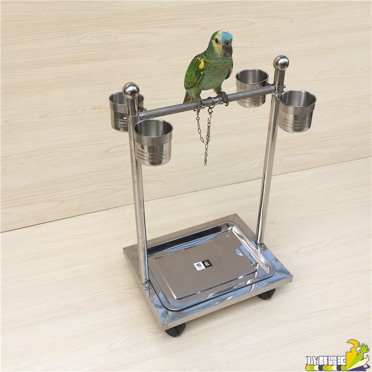 Stand parrot clearance