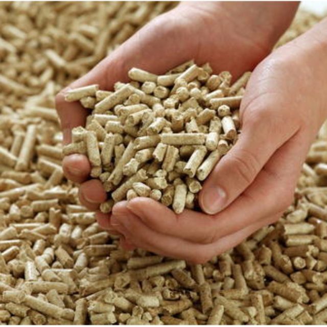 Cat hotsell wood pellets