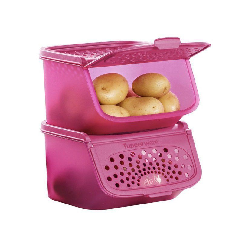 Tupperware Garlic N All 2.3L (1pcs) | Shopee Malaysia