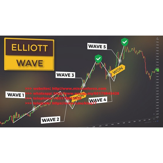 Elliot Waves + Fibo (Total size: 425.6 MB Contains: 7 folders 22 files ...