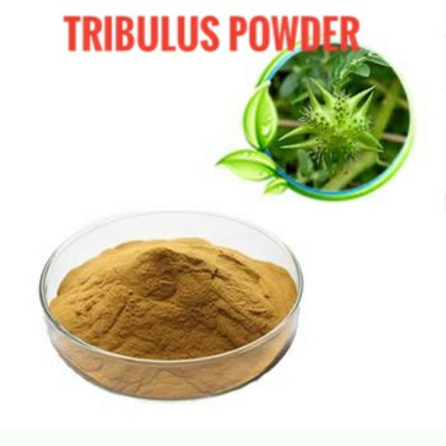 TRIBULUS TERRESTRIS POWDER / 50GM Shopee Malaysia