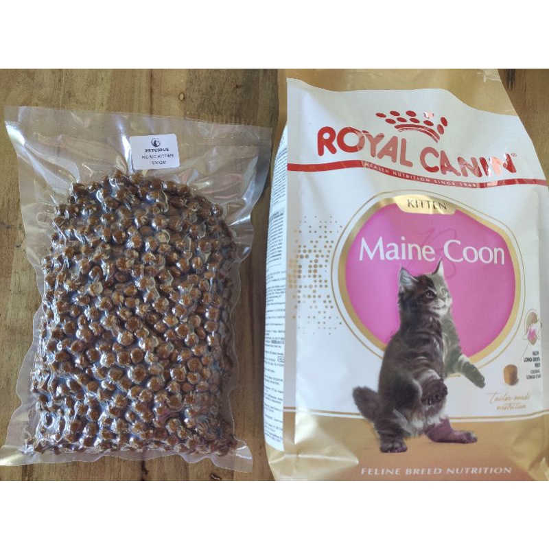 Royal canin 2024 maine coon junior