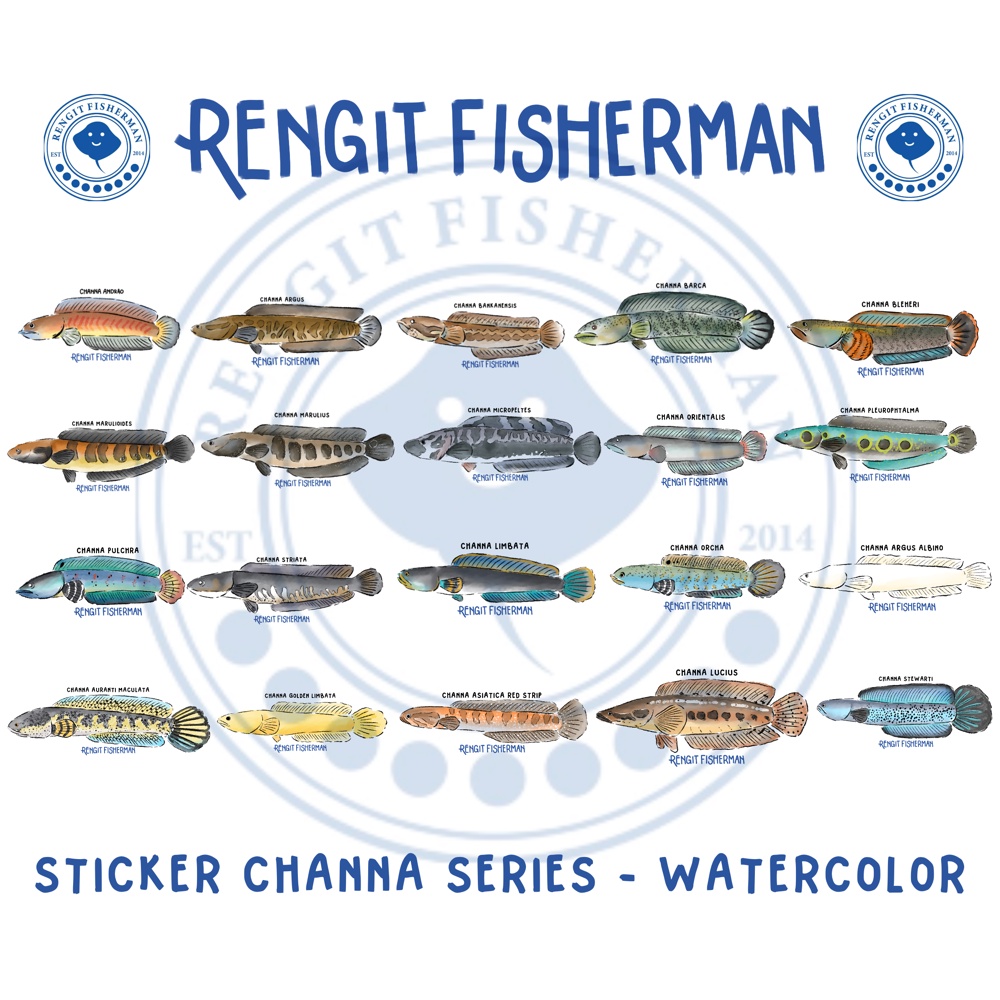 🇲🇾 Channa Sticker Series - Watercolor Style🎨 | Shopee Malaysia