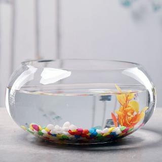 Aquarium Fish Tank Crystal Red Cherry Shrimp Round Glass Feeding