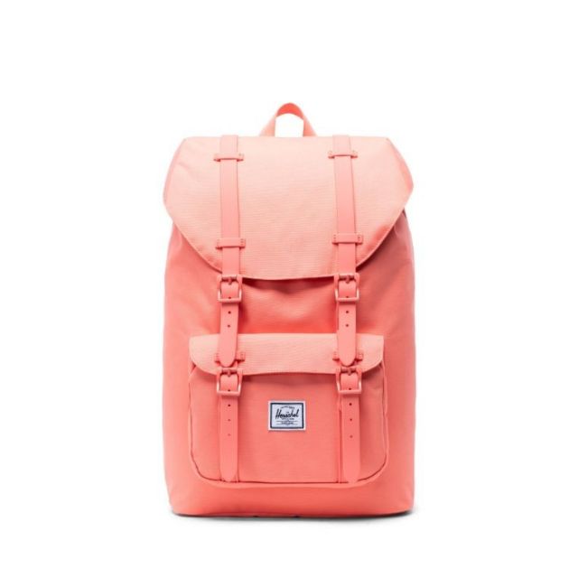 Herschel 2025 fresh salmon