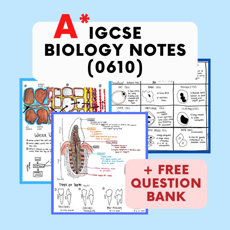 [IGCSE Notes] Cambridge IGCSE 0610 Biology A* Notes Softcopy | Shopee ...