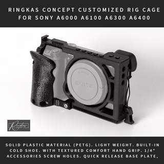 sony a6000 rig
