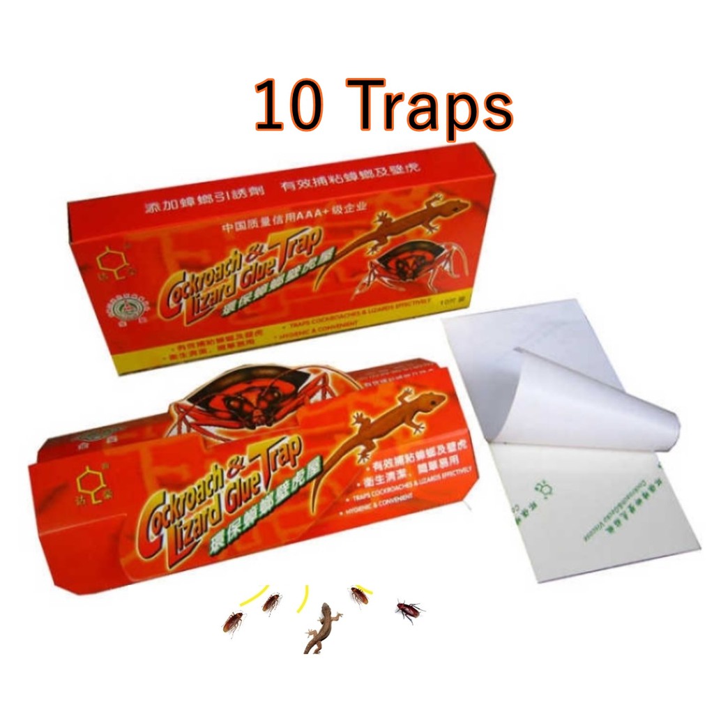 Buy trap lizard Online With Best Price, Jun 2026 | Shopee Malaysia