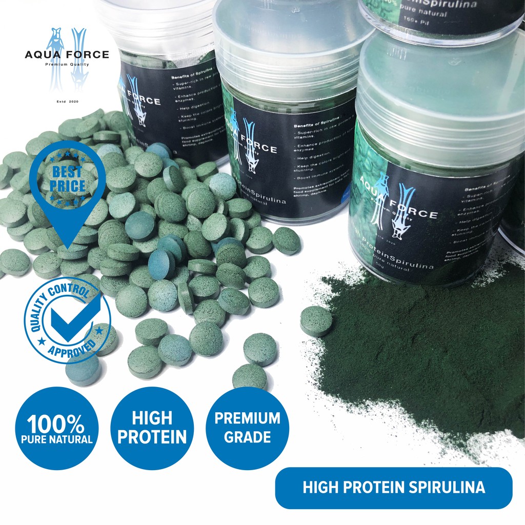 Spirulina for best sale betta fry