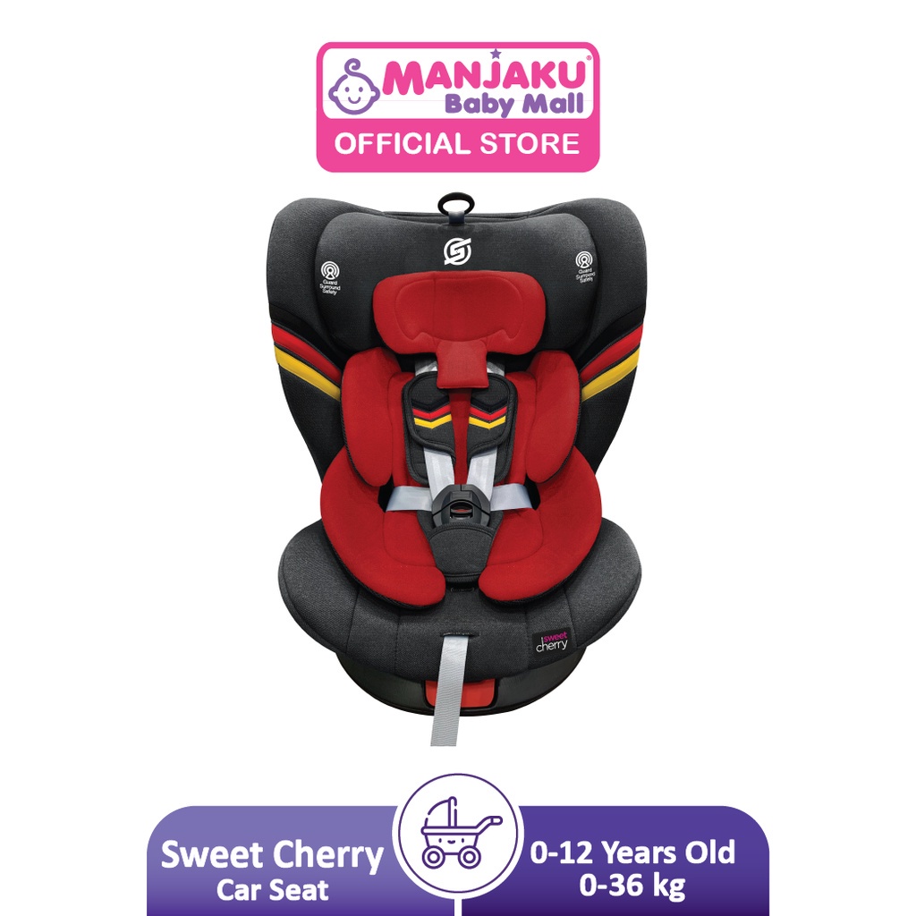 Semi universal best sale isofix base