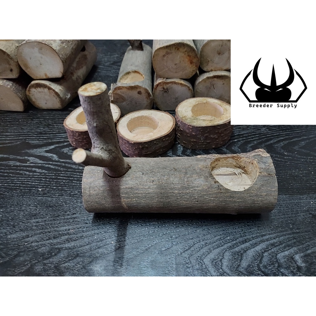 Beetle Jelly Holder Y Climbing Wood Insects Jelly Stand 甲虫 果冻台 攀爬木 果冻