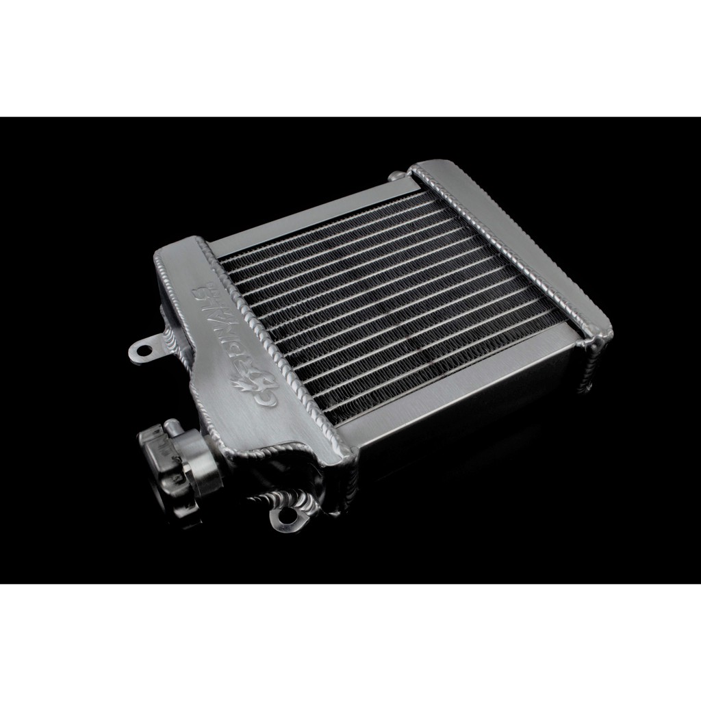 CARDINALS RADIATOR TANK ALUMINIUM NVX/N-MAX (350ML) | Shopee Malaysia