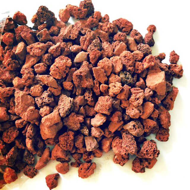 LAVAS Lava Rock Medium (50g) Filter Media For Aquarium Shopee Malaysia