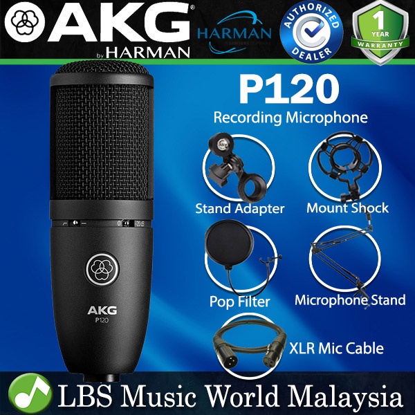 AKG P120 Large Diaphragm Condenser Microphone with Cardioid Polar Mic ...