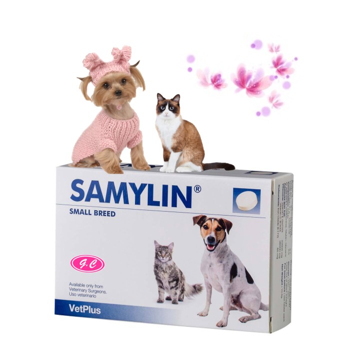 Samylin small breed outlet tablets