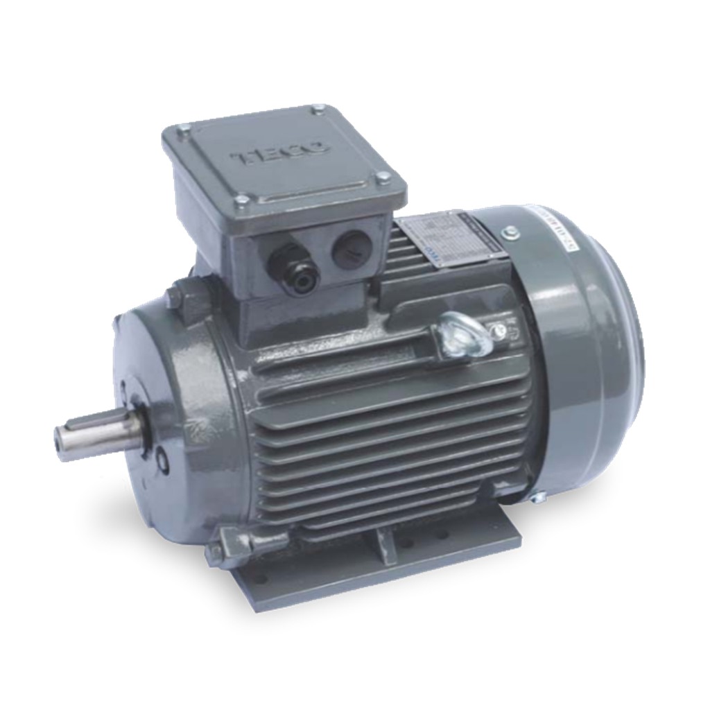 Teco IE1 Standard Efficiency Squirrel Cage Induction Motor 5.5 HP 4KW ...