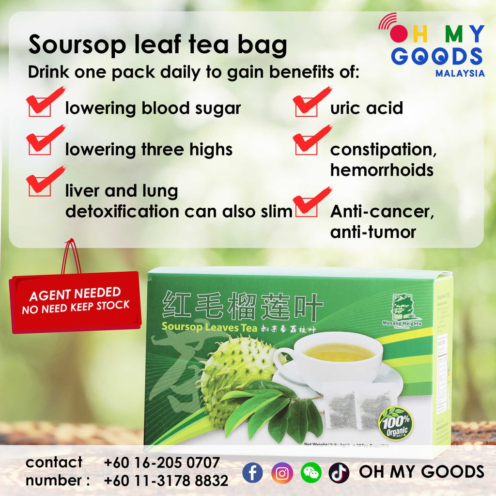 Soursop Leaf Tea 100% From Organic Farm (Musang Heights Organic