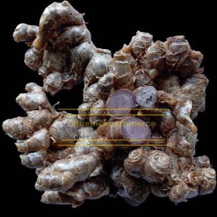 Rizom Kunyit Hitam Segar Dari Ladang(100gm)/Kaempferia Parviflora ...