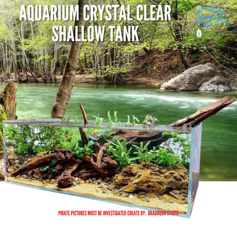 AQUARIUM Fish Tank Crystal Clear Tank Shallow Tank 30CM/ 36CM/ 40CM ...