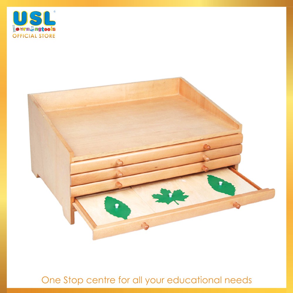Botany Cabinet Including Leaf Shapes Frames - Early Learning | Shopee ...