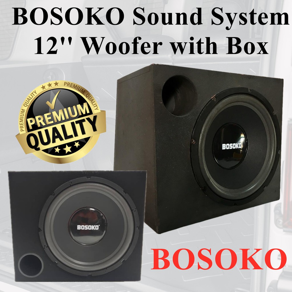 Box sound system 12 2024 inch