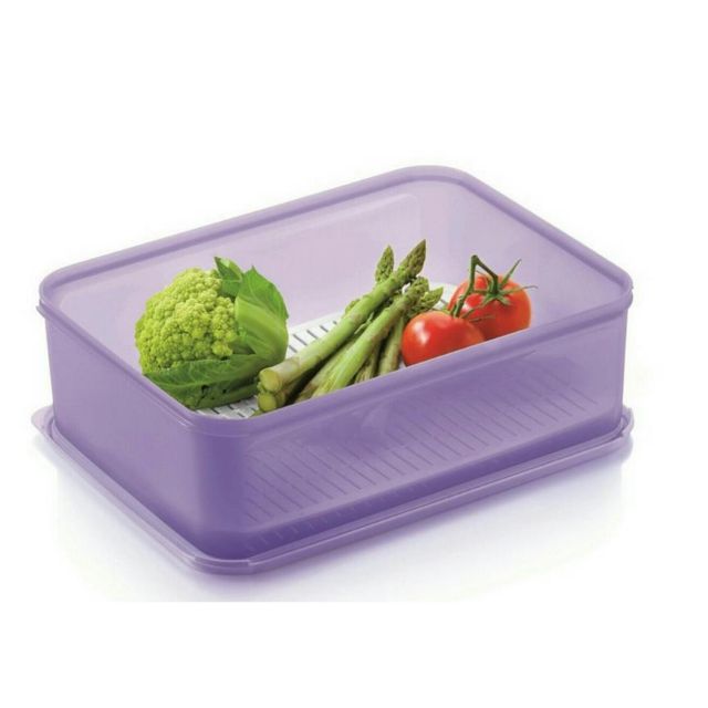 Tupperware (1pc) Modular Keeper with Grid 9.4L Keep Fresh Vegetable and Fruits Shopee Malaysia