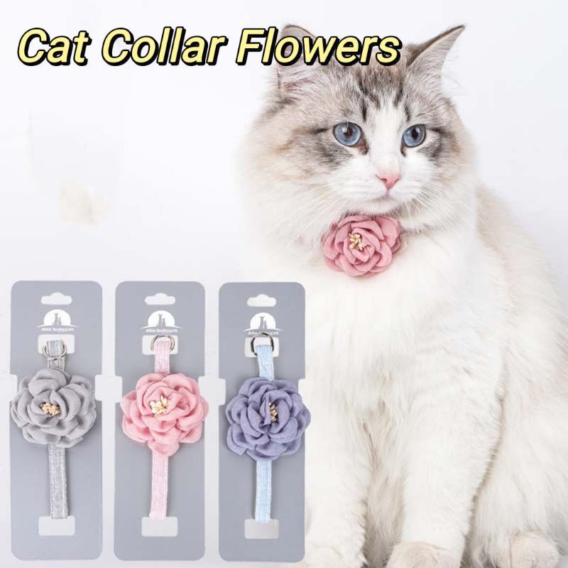 Pets Adjustable Collar Cat Kitten Neck Belt Rantai Kucing Shopee Malaysia