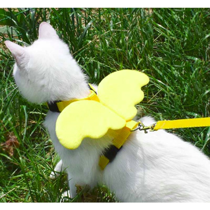 [Ready Stock] Rantai Kucing dengan Sayap Comel I Pet Cat Dog Angle Wing ...