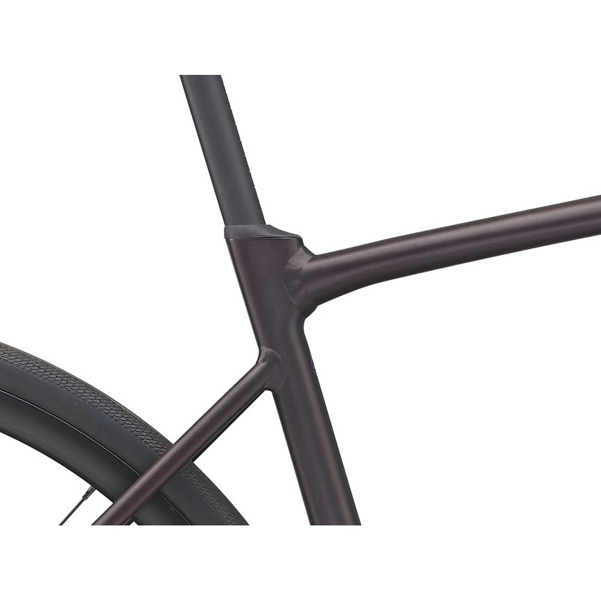 Contend sl 2 disc 2021 sales