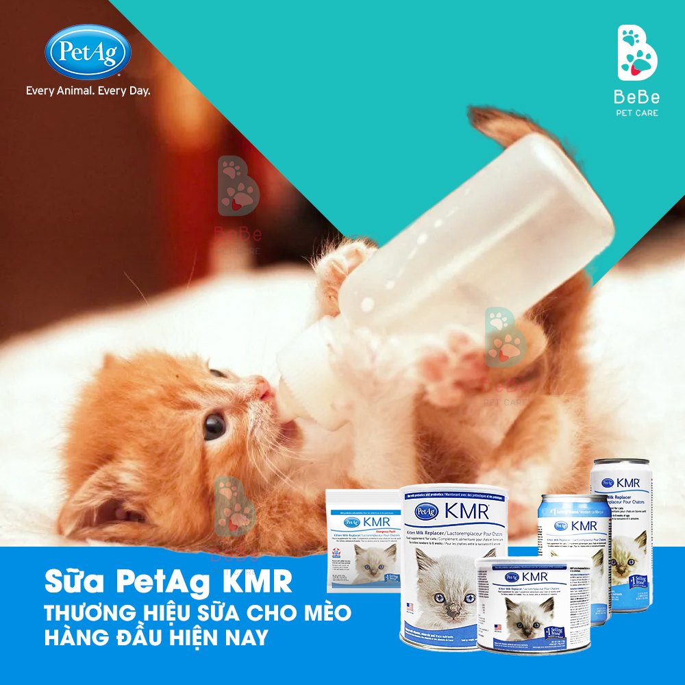 Kmr Pet Ag USA - Powdered Milk & Premium Liquid Milk for Cats - Genuine ...