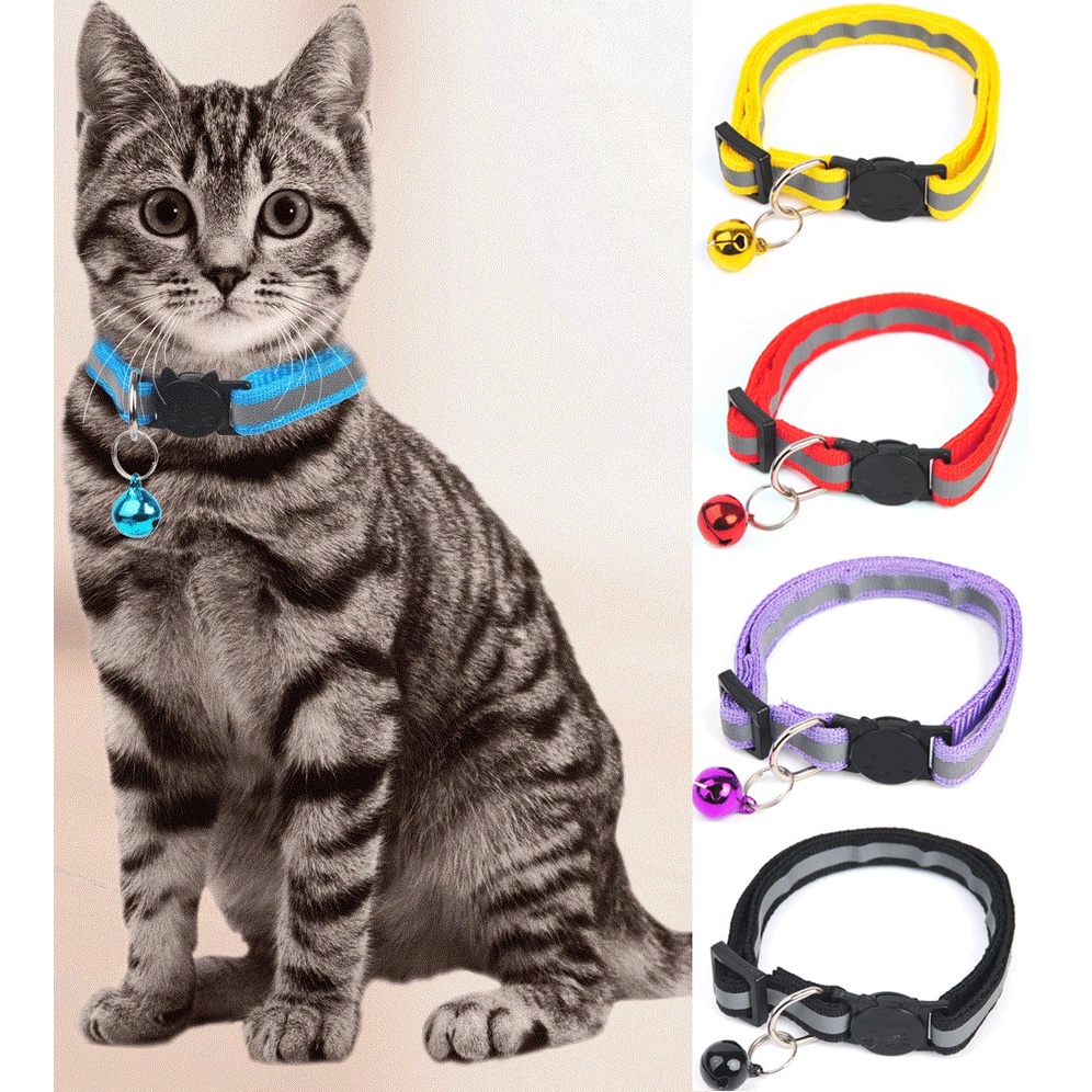 Kitten neck hot sale band