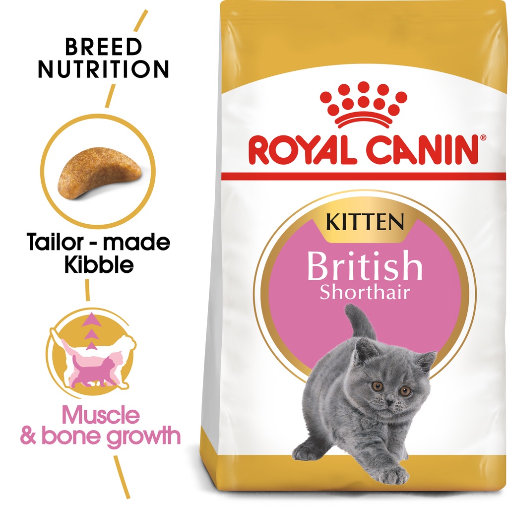 Royal Canin British Shorthair Kitten 2kg Cat Dry Food Original Pack Makanan Kucing Shopee Malaysia