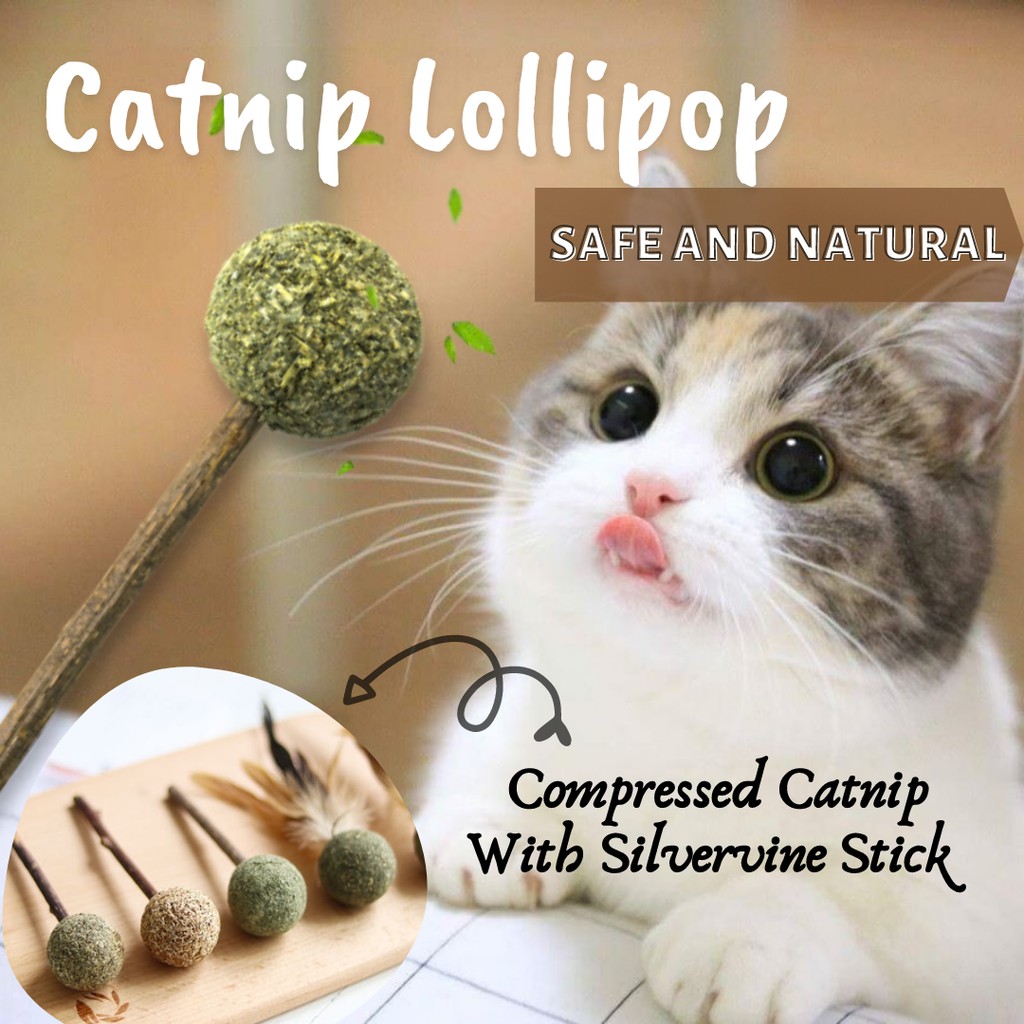 Catnip Lollipop Cat Mint Ball With Silvervine Matatabi Stick Molar Chew Teeth Cleaning Toy Shopee Malaysia