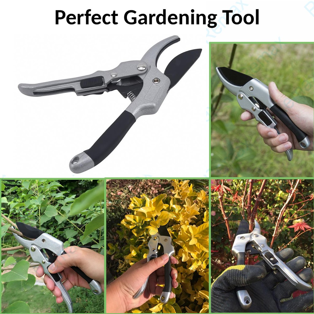 Alat Pemotong Ranting Dahan Pokok Kebun Pruning Shear Grafting Tool ...