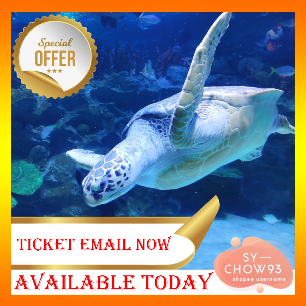 Aquaria KLCC Admission ETicket For Non Malaysian Shopee Malaysia