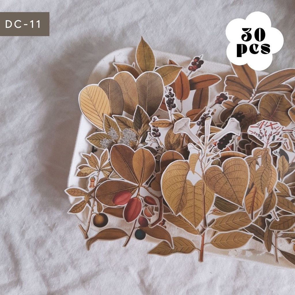 (DC) Die-cut Sticker Botanical Aestetic Stickers Large Size Bujo ...