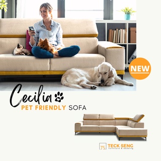 Pet resistant outlet sofa