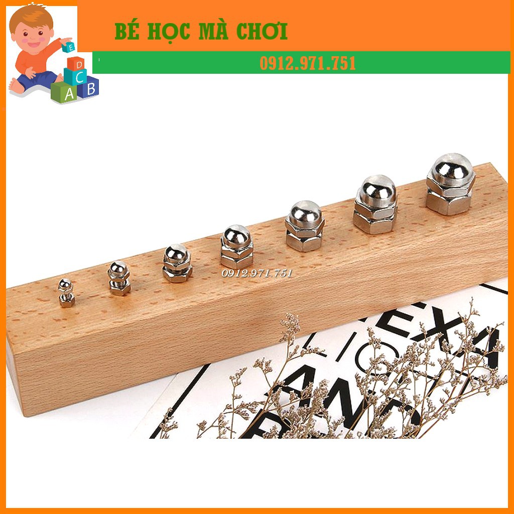 Montessori Teaching Tools Set Of Screws B Sample (Nuts and bolts