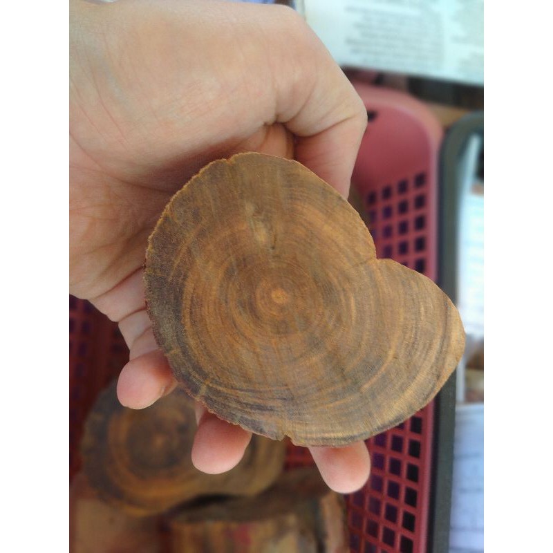 Damar Minyak / Raja Kayu Merah | Shopee Malaysia