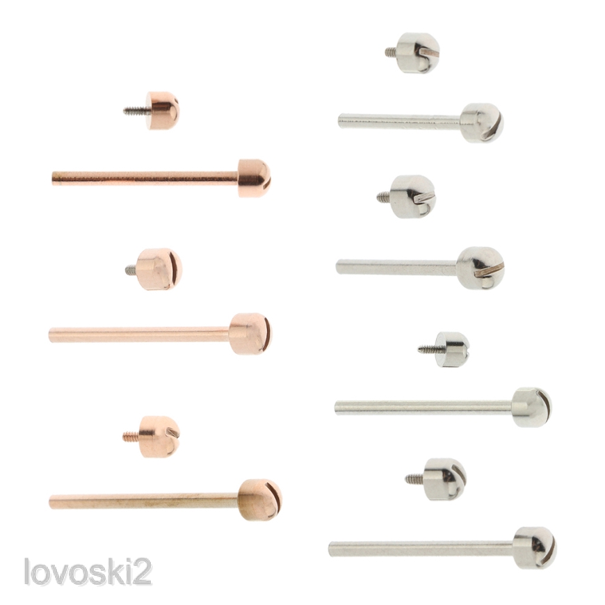 lovoskiacMY Stainless Screw Band Necessary Tools for Watch Shopee Malaysia