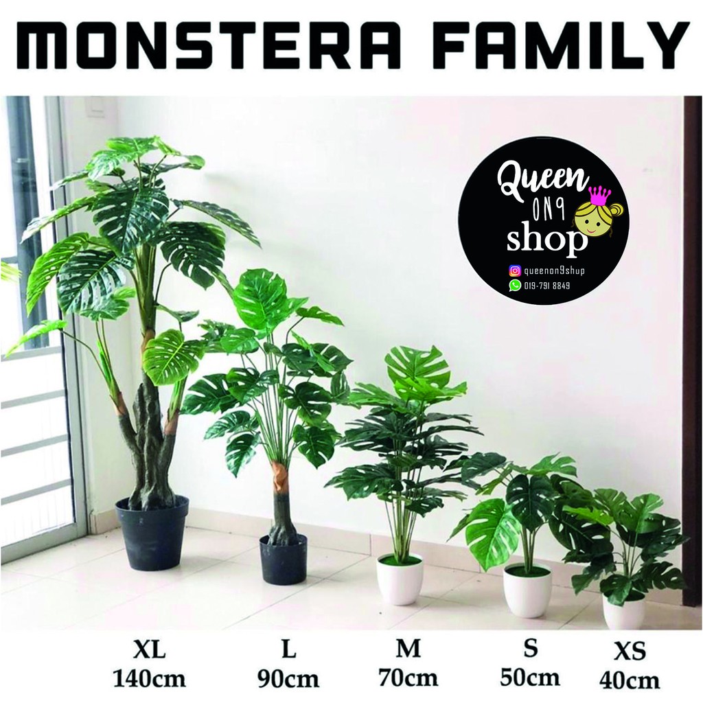 Monstera Family (Size XS - XL) - Artifical Flowers & Plants | Shopee ...