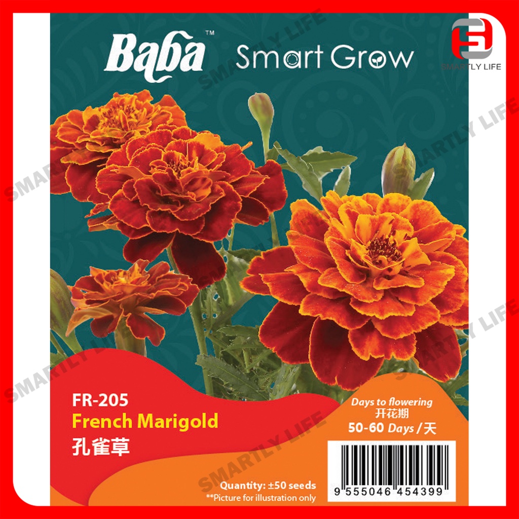 Baba Smart Grow Seed : Flower Seed Series 花 种子 Benih Bunga Non GMO ...