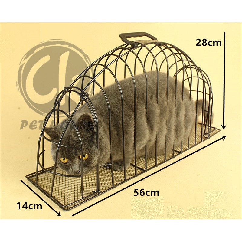 Cat bathing outlet cage