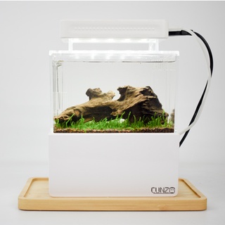 Cunzo 2024 mini aquarium