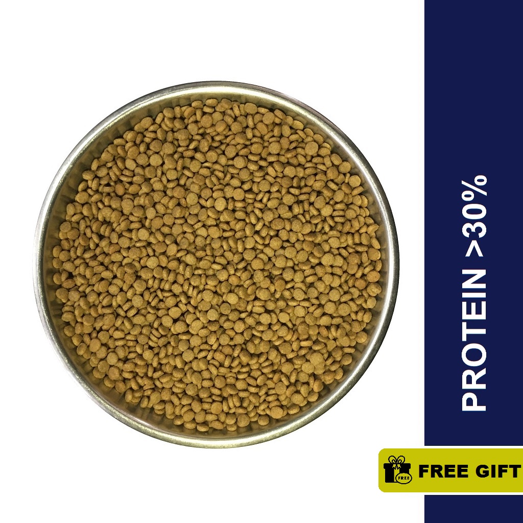 Repack 900g 30% Protein Fish Dry Cat Food Suitable For All Cat Breeds ...