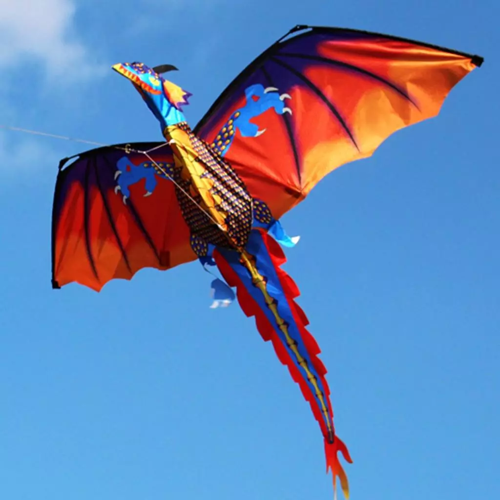Foldable Cartoon Eagle Kite With Hand Brake Beginner Fly Fishing